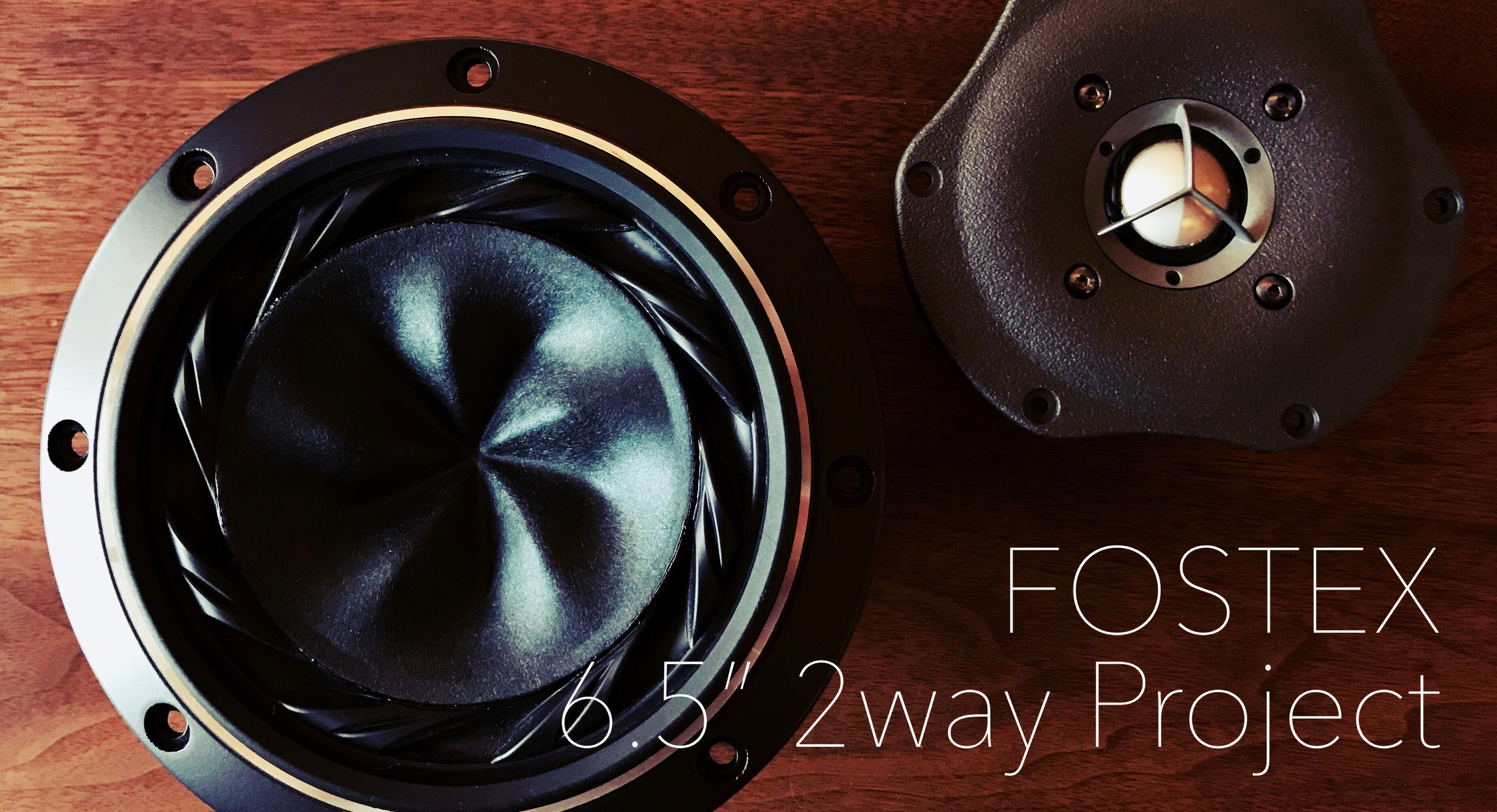 FOSTEX 6.5″ 2way Project Phase 1 (Project Launch)
