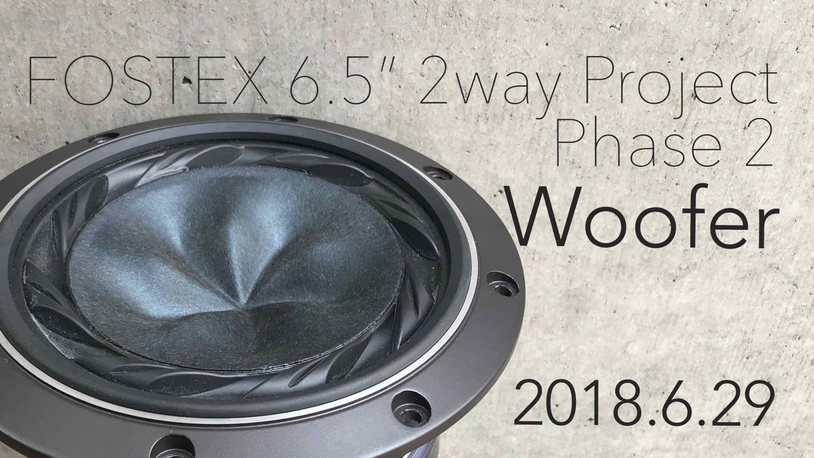 FOSTEX 6.5″ 2way Project Phase 2 (Woofer 1)