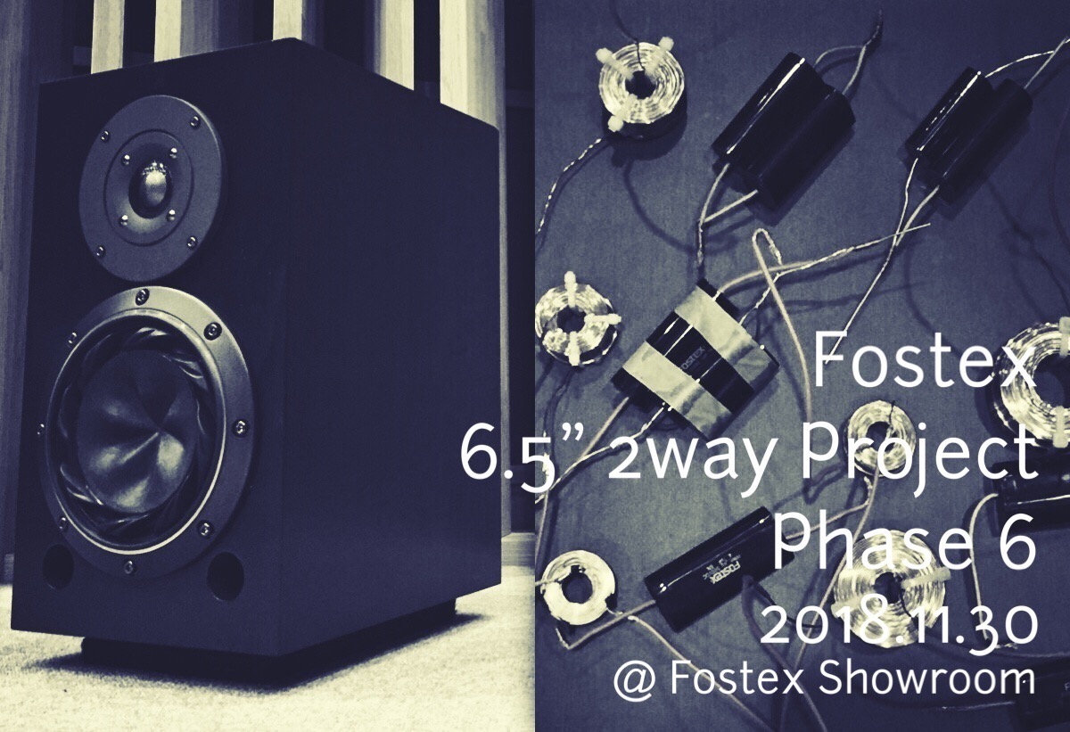 Fostex 6.5″ 2way Project Phase 6