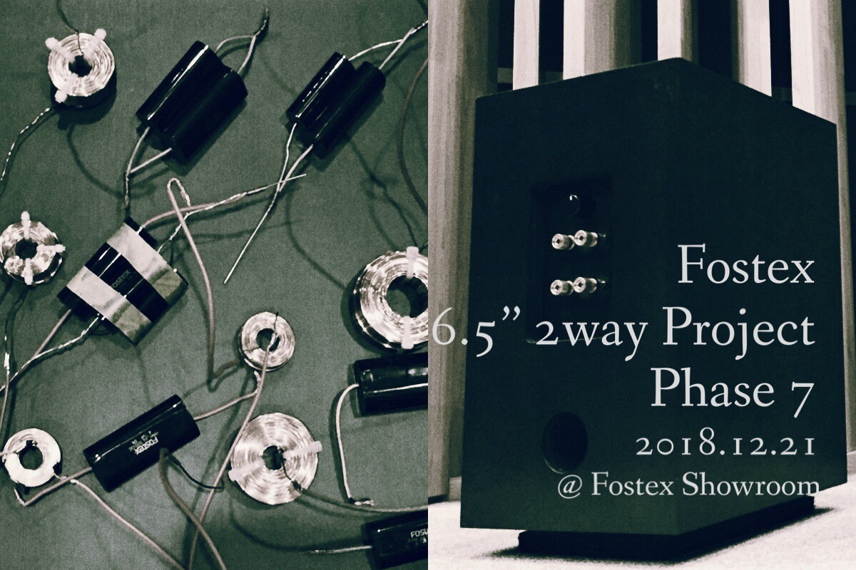 Fostex 6.5″ 2way Project Phase 7