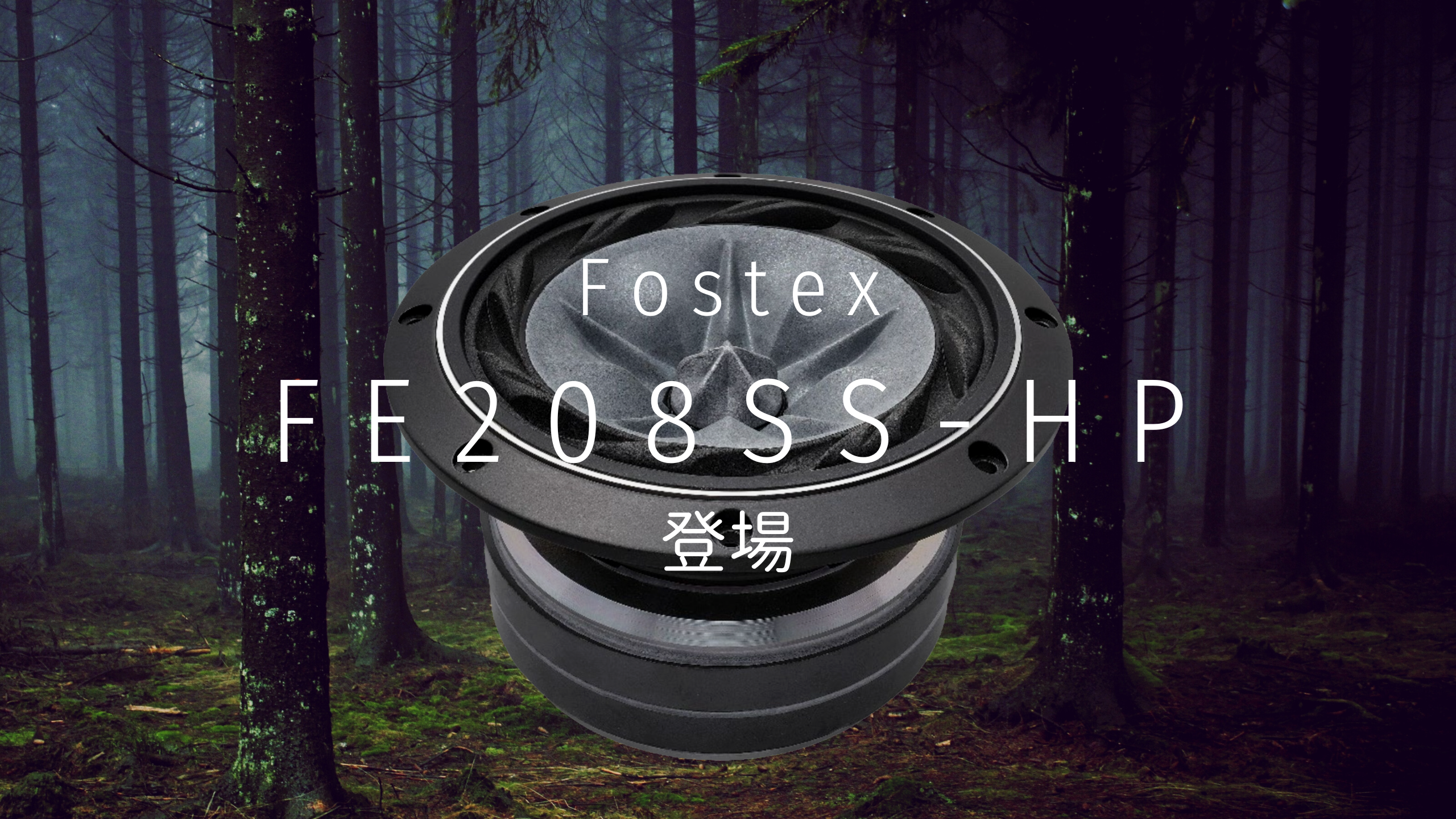 Fostex FE208SS-HP 登場